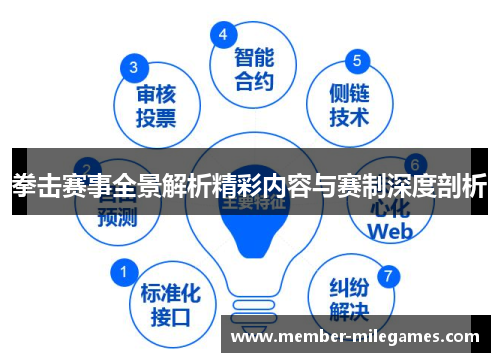 拳击赛事全景解析精彩内容与赛制深度剖析