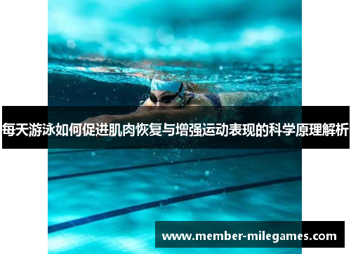 每天游泳如何促进肌肉恢复与增强运动表现的科学原理解析