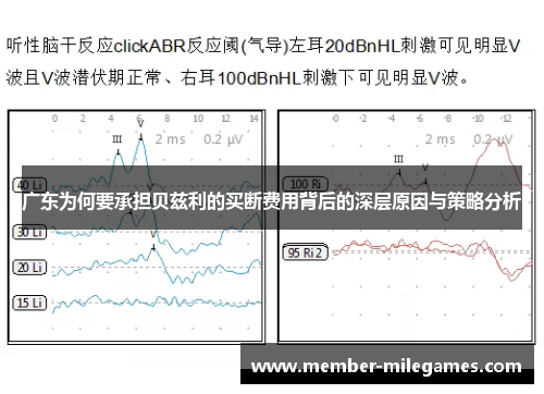 广东为何要承担贝兹利的买断费用背后的深层原因与策略分析