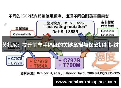 莫扎尼：提升前车手福祉的关键举措与保障机制探讨