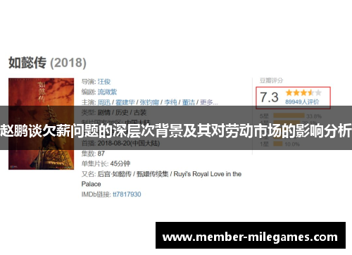 赵鹏谈欠薪问题的深层次背景及其对劳动市场的影响分析